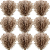 250 Pcs Dried Pampas Grass Decor 17 Inch Bulk Natural Small Pompous Wild Fluffy Pampas Floral Boho Decor Flowers For Wedding Party Farmhouse Home Bathroom Office Kitchen (Brown)