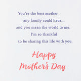 Hallmark Mothers Day Card for Wife (You Mean the World to Me)