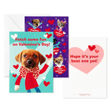 Hallmark Valentines Day Cards and Stickers for Kids School, Puppies and Kittens (24 Classroom Valentines with Envelopes)