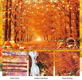 Fall Autumn Photography Backdrop Forest Maple Leaves Pumpkins Harvest Thanksgiving Party Banner