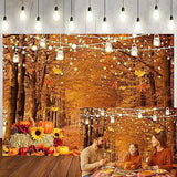 Autumn Maple Forest Backdrop with Pumpkins for Fall Harvest and Thanksgiving