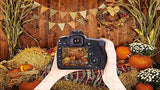 Thanksgiving Autumn Backdrop with Pumpkins and Countryside Harvest for Party Decor