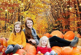 7x5ft Autumn Thanksgiving Backdrop with Maple Leaves Pumpkin Farm Harvest Decor