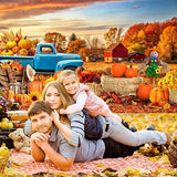Fall Backdrop 7x5FT Autumn Harvest Pumpkins Maple Leaves Field Thanksgiving Decor