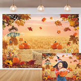 Autumn Pumpkin Harvest Backdrop with Hay and Maple Leaves for Thanksgiving Photos