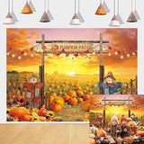 7x5ft Fall Pumpkin Patch Backdrop for Birthday Baby Shower Thanksgiving Decor