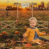 7x5ft Fall Pumpkin Patch Backdrop for Thanksgiving Halloween and Newborn Photos