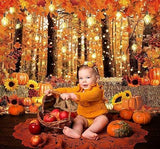7x5ft Fall Photography Backdrop with Maple Forest Leaves Pumpkins for Thanksgiving