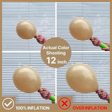 Light Brown Balloons 50pcs 12inch Tan Beige Cream for Baby Shower Wedding Party