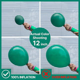 50PCS Dark Green Balloons Set for Birthday Baby Shower Wedding and Party Decorations