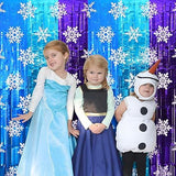 Winter Princess Snowflake Tinsel Backdrop 2 Pack 3.3x6.6ft Birthday Decor