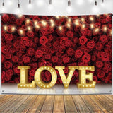 Love Valentines Day Backdrop Xtra Large 84x60 Inch Photography Party Decor