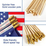 Mini American Flags, 12 Pack - Patriotic Party Decorations