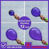 152 PCS Dark Purple Balloon Arch Kit Multi Size Royal Party Decorations