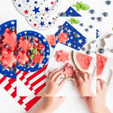 Patriotic Party Supplies Set with Plates Napkins for Labor day