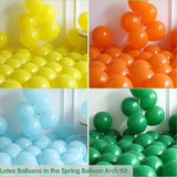 Spring Garden Balloon Arch Kit | Daisy, Bee, Butterfly Party Decor