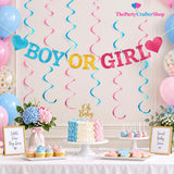 Boy or Girl Gender Reveal Banner, Swirls, Baby Shower Decor (PVC, Cardstock)