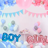 Blue Pink Gender Reveal Bunting, 2-Pack Baby Shower Garland (16.4ft)