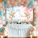Teddy Bear Gender Reveal Banner, Pink Blue Baby Shower Backdrop (6x3.6FT)