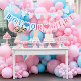 Boy or Girl Baby Shower Banner, Blue Pink Gingham Bodysuit Garland (Pre-Strung)