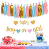 Gender Reveal Banner Set, Baby Shower Decorations, Pink Blue Gold Tassels