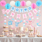 Boy or Girl Gender Reveal Decorations, Pink Blue Baby Shower Banner, Honeycomb Balls & Swirls