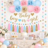 Boho Gender Reveal Party Set, Pink Blue Balloons, Moon Star Garland, Tassels Lanterns