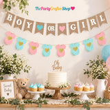 Boy or Girl Gender Reveal Banner Set, Blue Pink Baby Shower Decor (2pc)