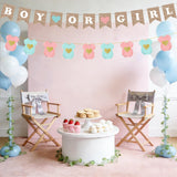 Boy or Girl Gender Reveal Banner Set, Blue Pink Baby Shower Decor (2pc)