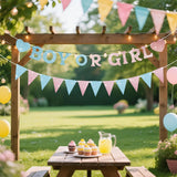 Glitter Boy or Girl Gender Reveal Banner, Pre-Strung Baby Shower Decor