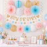 Gender Reveal Party Set, Pink Blue Champagne, 22pc Baby Shower Decorations