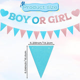 Glitter Pink Blue Boy or Girl Banner, Sparkle Baby Shower Backdrop (Cardboard)