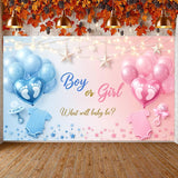 Boy or Girl Gender Reveal Backdrop, Blue Pink Baby Banner (70.8x43.3 Inch)