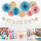 Champagne Blue Pink Gender Reveal Party Set, 22pc Neutral Decorations (Banner, Lanterns, Pom Poms)