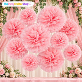 Light Pink Tissue Pom Poms, 12PCS Paper Flower Balls Hanging Decoration (10-12 Inch)
