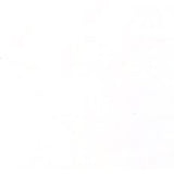 Holbein Acrylic Gouache Artists Acrylic Polymer Emulsion, 40ml Primary White (D894A)