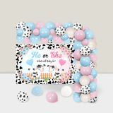Cow Gender Reveal Balloon Garland Pink & Blue with Backdrop & Foil Balloon