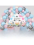 Cow Gender Reveal Balloon Garland Pink & Blue with Backdrop & Foil Balloon