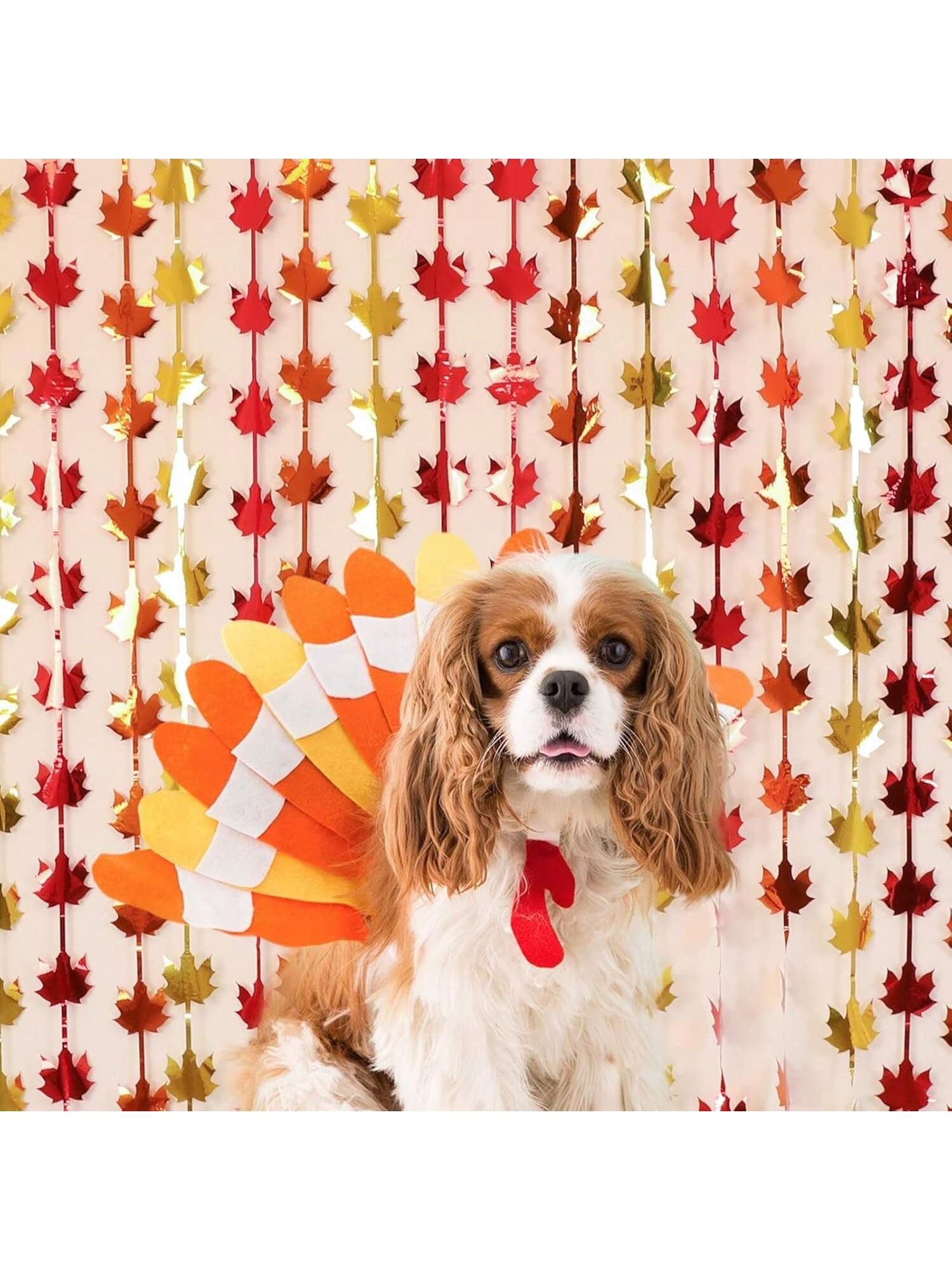 2Pk Fall Foil Fringe Curtains – Red, Gold & Orange Maple Leaves For Thanksgiving & Parties For Christmas, Halloween And Thanksgiving,