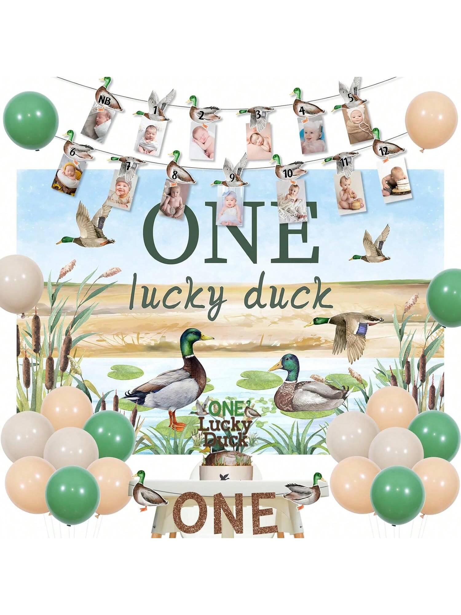 Mallard Duck 1st Birthday Decorations One Lucky Duck Party Kit