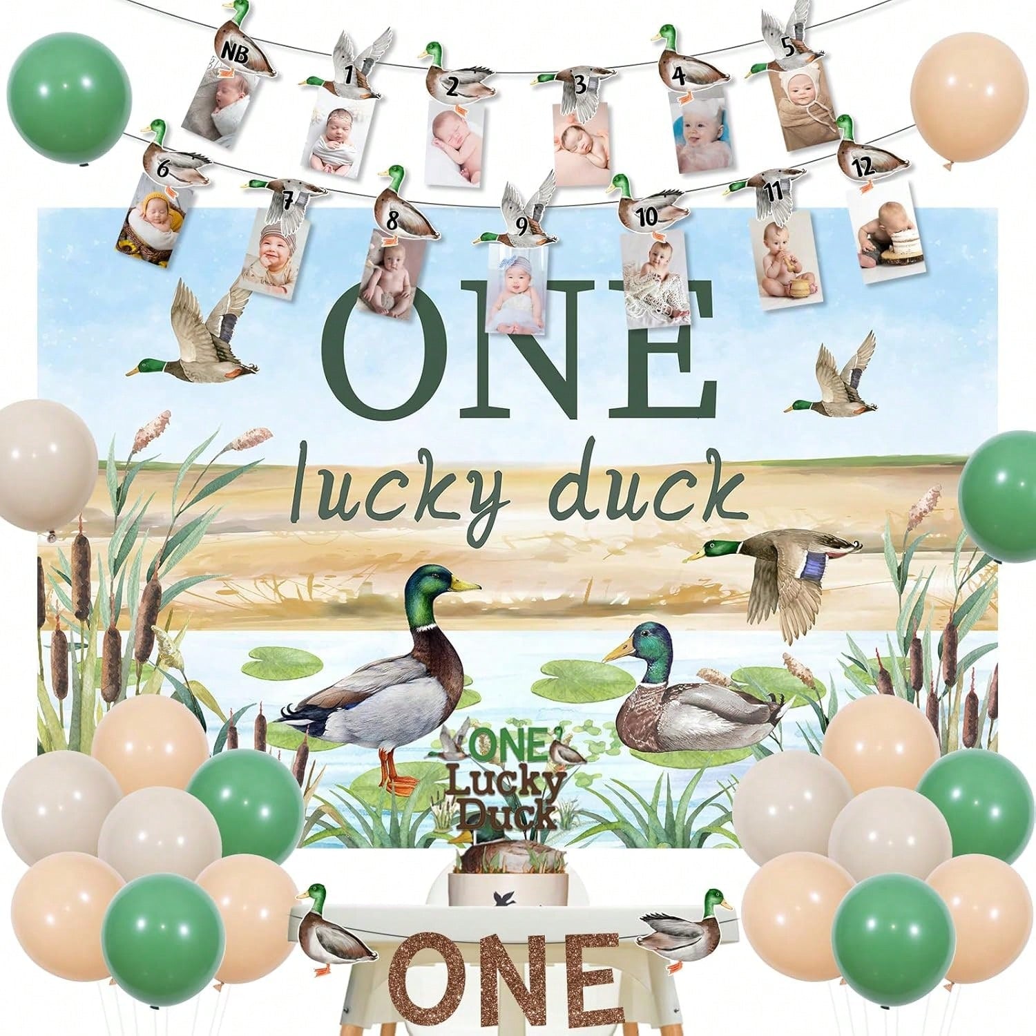 Mallard Duck 1st Birthday Decorations One Lucky Duck Party Kit
