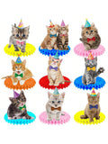 11PCS Baby Cat Honeycomb Centerpieces for Kitten & Cat-Themed Parties