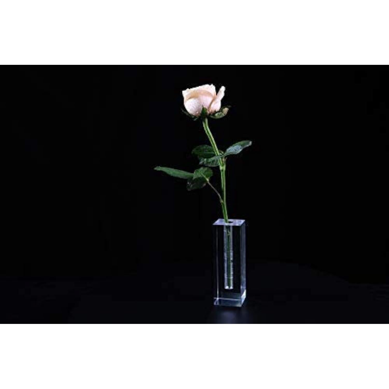 Shaped Acrylic Rose Display Stand, Single Real Rose Flower Or 24K Artificial Flower Transparent Base Rose Shelf Support Room Decoration(Shaped)