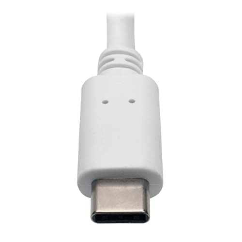 USB-C to DisplayPort Adapter Cable, USB C to DP Converter Cable with Equalizer, 8K UHD, HDR, PD Charging 60W, 6in, White (U444-06N-DP8WC)