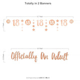 18th Birthday Banner, Rose Gold Glitter, Officially An Adult, Pack of 2