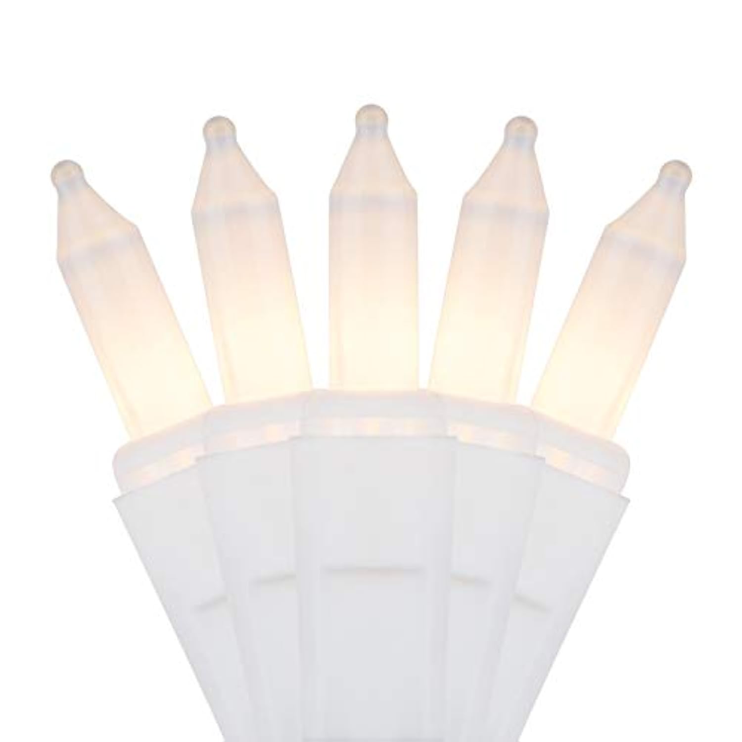 Holiday Pride Frosted White Christmas Lights - 100 Count White Frost Mini Lights On White Wire (24 Ft) - For Indoor & Ou