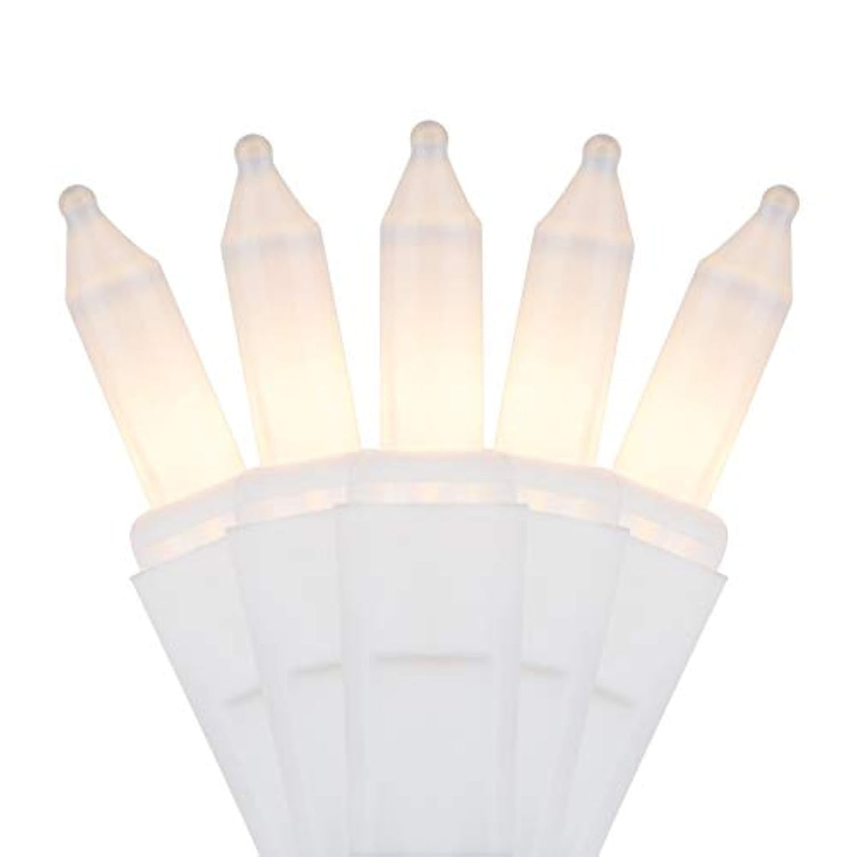 Holiday Pride Frosted White Christmas Lights - 100 Count White Frost Mini Lights On White Wire (24 Ft) - For Indoor & Ou