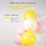 127Pcs Pastel Yellow Balloon Garland Kit for Baby Shower Lemonade Party Decor