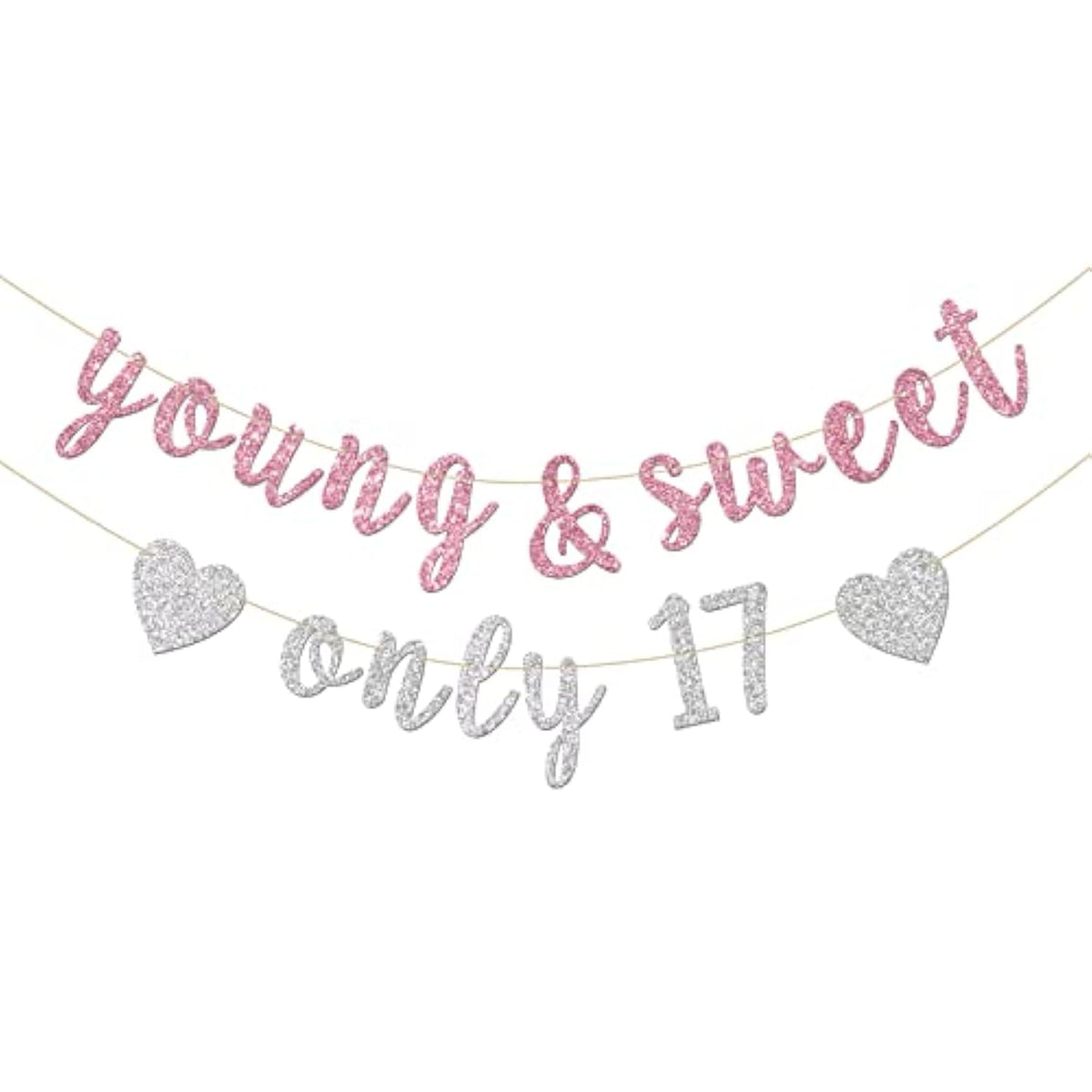 Young & Sweet Only 17 Banner - Happy 17Th Birthday Party Decor For Girls - Cheers To 17 Years Party Decorations Supplies, Pink & Silver Glitter