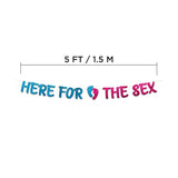 Gender Reveal Party Banner – Pink and Blue Baby Shower Decorations